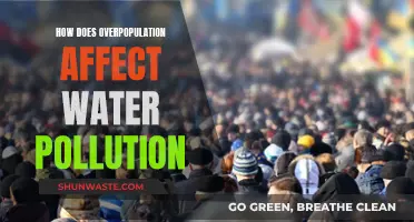 Overpopulation's Impact: Water Pollution Crisis