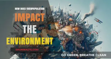 Overpopulation's Environmental Toll: Consequences for Ecosystems and Sustainability