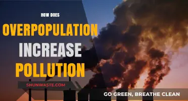 Overpopulation and Pollution: A Vicious Cycle