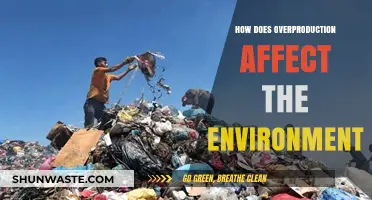 Overproduction's Environmental Impact: Consequences and Sustainable Solutions Explored