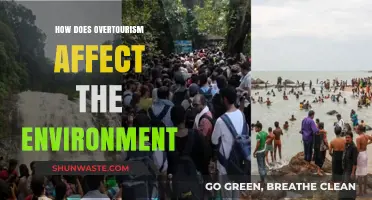 Overtourism's Environmental Impact: Unraveling the Consequences of Mass Travel