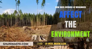 Overuse of Resources: Environmental Impacts and Sustainable Solutions