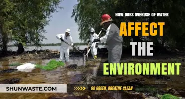 Overusing Water: Environmental Impacts and Sustainable Solutions for Conservation