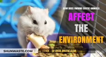 Exotic Pets: Environmental Impact and Ecosystem Disruption Explained