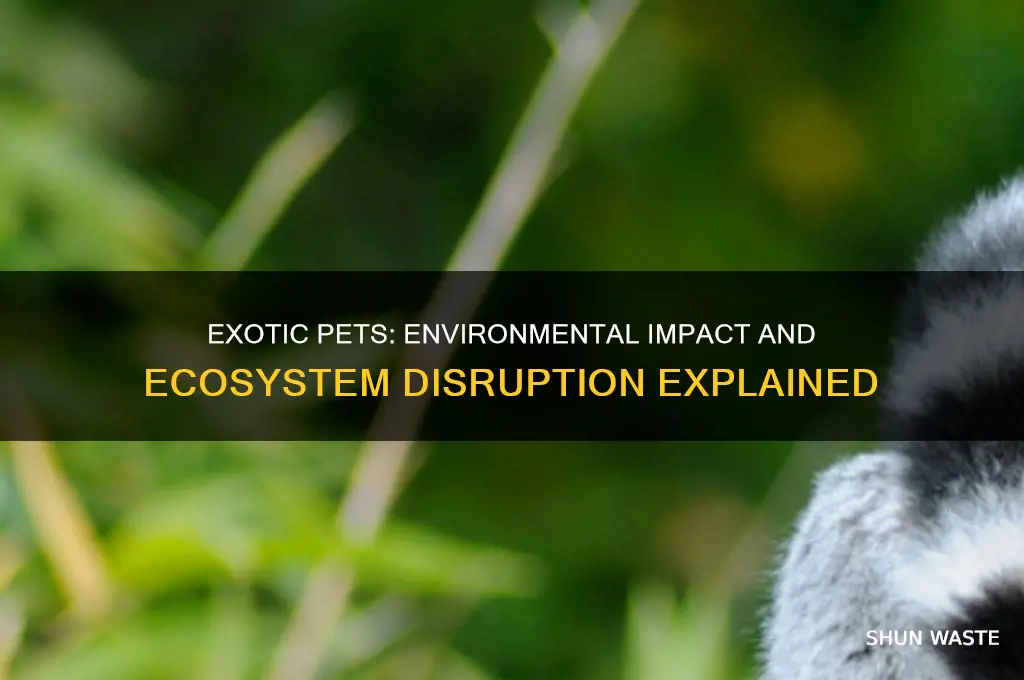 how does owning exotic animals affect the environment