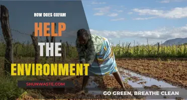 Oxfam's Environmental Impact: Sustainable Solutions for a Greener Future