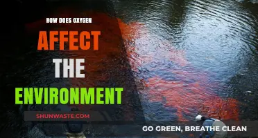 Oxygen's Environmental Impact: Balancing Ecosystems and Climate Dynamics
