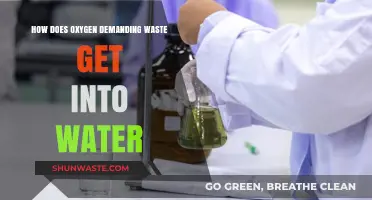 Understanding Oxygen-Demanding Waste: Sources and Pathways into Water Systems