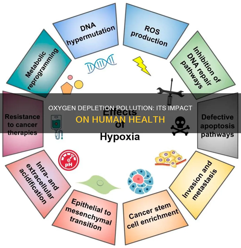 how does oxygen depletion pollution affect humans