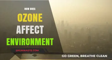 Ozone's Environmental Impact: Benefits, Risks, and Global Consequences Explained
