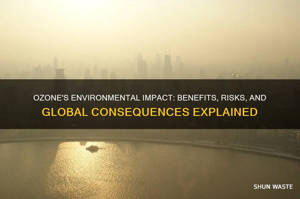 how does ozone affect environment