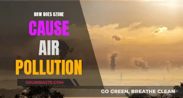 Ozone's Impact: Understanding Air Pollution
