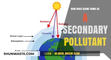 Ozone: The Secondary Pollutant Mystery