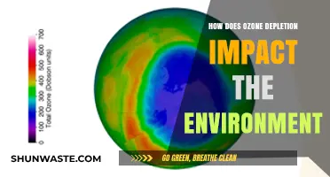 Ozone Depletion's Devastating Effects on Our Environment and Ecosystems