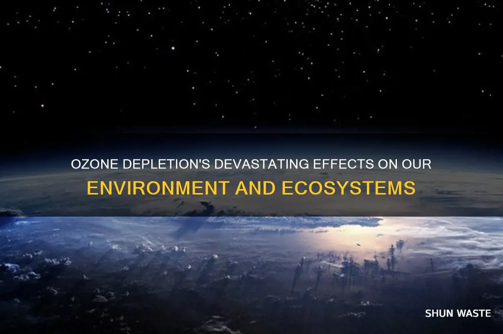 how does ozone depletion impact the environment