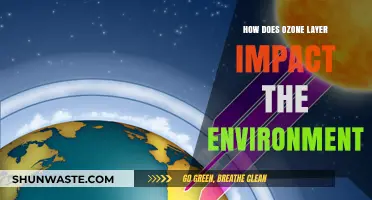 Ozone Layer's Crucial Role in Protecting Earth's Environment and Life