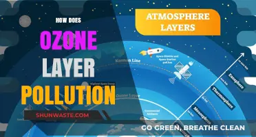 Ozone Layer Pollution: A Global Crisis