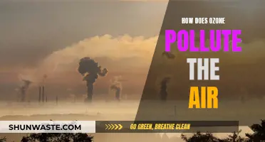 Ozone's Impact: Understanding Air Pollution