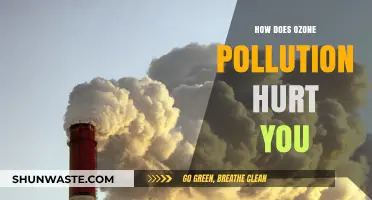 Ozone Pollution: A Silent, Harmful Threat to Your Health