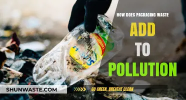 Packaging Waste: A Growing Pollution Problem