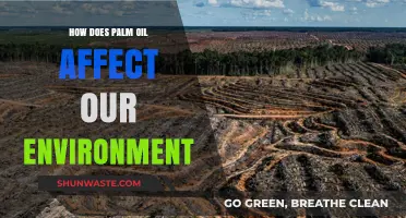 Palm Oil's Environmental Impact: Deforestation, Biodiversity Loss, and Climate Change