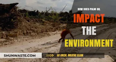 Palm Oil's Environmental Impact: Deforestation, Biodiversity Loss, and Climate Change