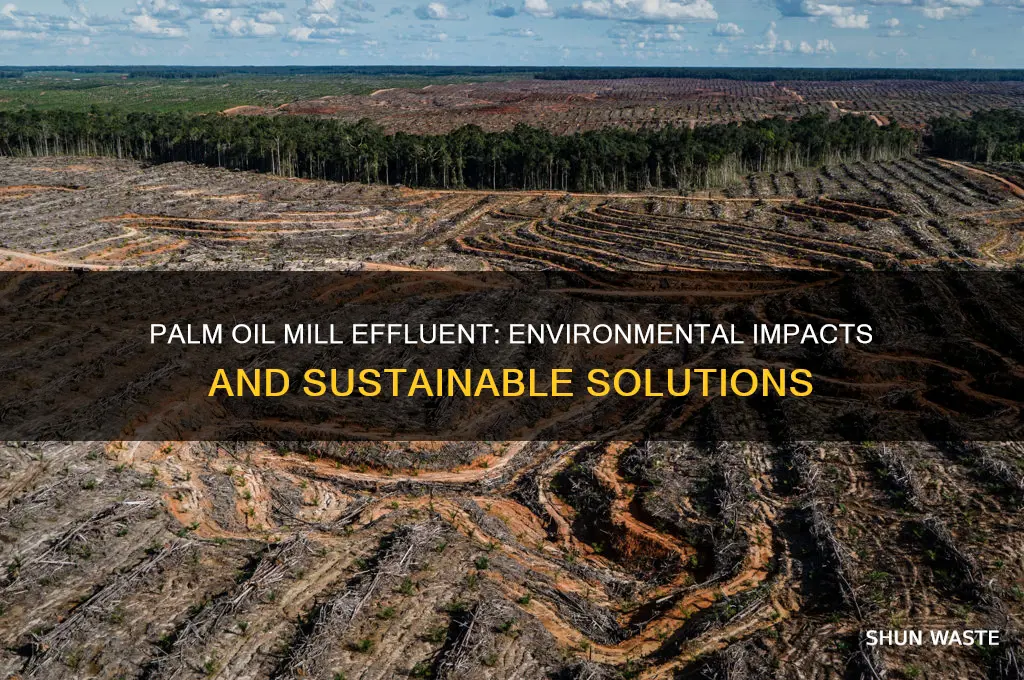 how does palm oil mill effluent affect the environment