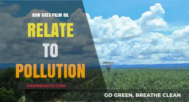Palm Oil Pollution: The Environmental Impact