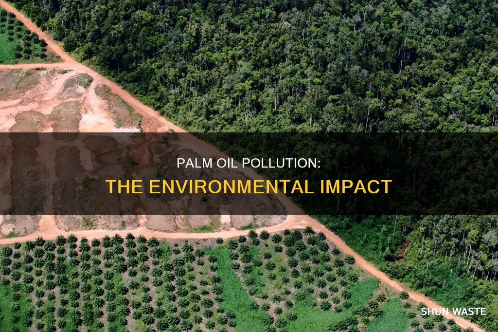 how does palm oil relate to pollution