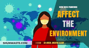 Pandemic's Environmental Impact: Positive Changes and Long-Term Challenges