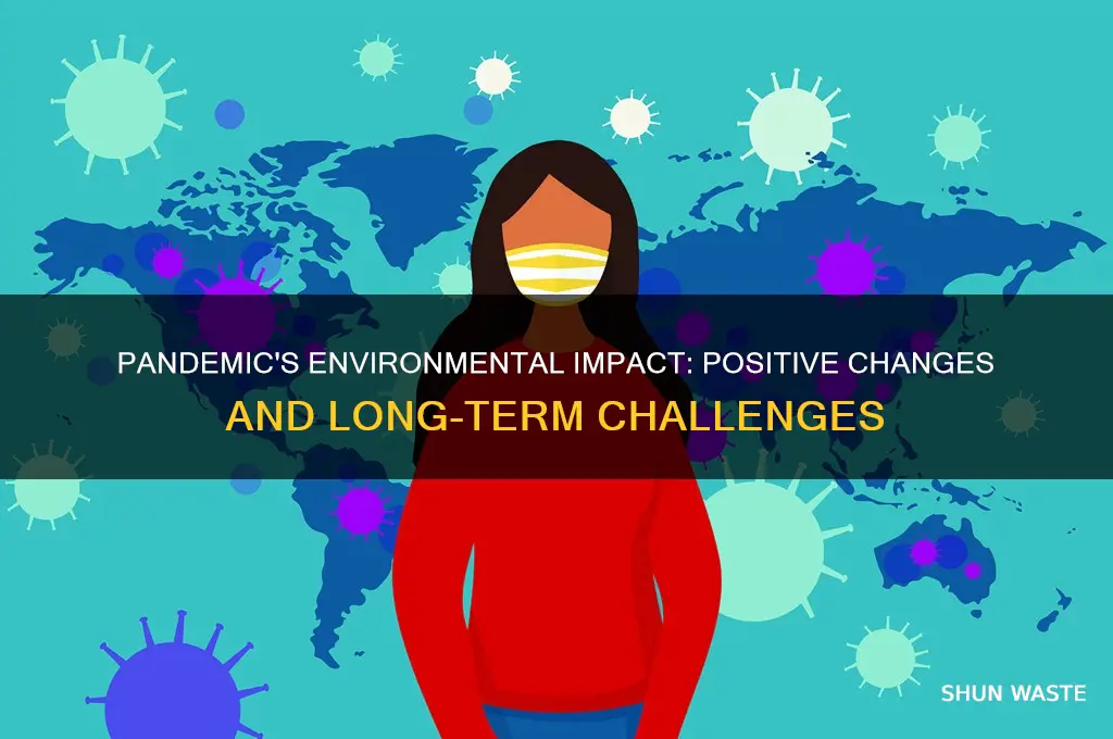 how does pandemic affect the environment