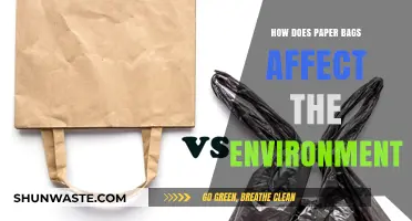 Paper Bags and Their Environmental Impact: A Comprehensive Analysis