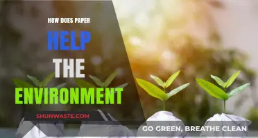 Paper's Eco-Friendly Impact: Sustainable Practices for a Greener Environment