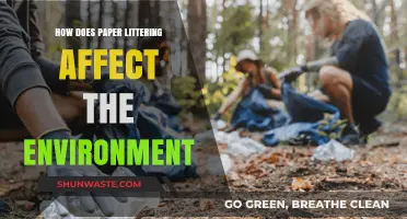 Paper Littering's Hidden Costs: Environmental Impacts and Sustainable Solutions