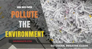 Paper's Environmental Impact: Pollution and Deforestation