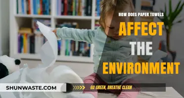 Paper Towels' Environmental Impact: Sustainability Concerns and Eco-Friendly Alternatives