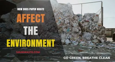 Paper Waste's Environmental Impact: Uncovering the Hidden Ecological Consequences