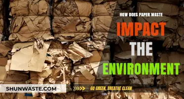 Paper Waste's Environmental Toll: Uncovering Its Hidden Ecological Consequences