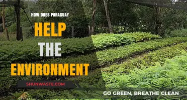 Paraguay's Green Initiatives: Sustainable Practices Protecting Our Planet