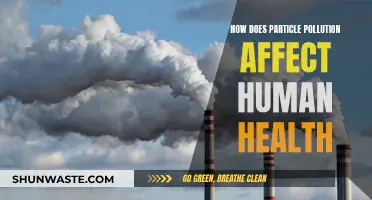 Particle Pollution: Harmful Impact on Human Health