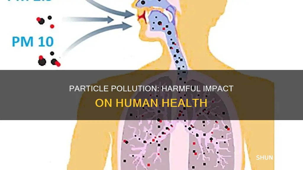 how does particle pollution affect human health