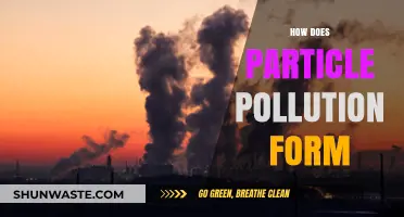 Particle Pollution: Sources and Formation