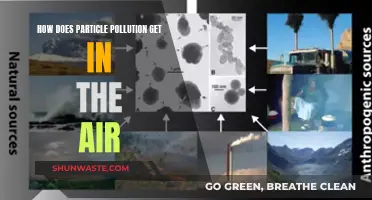 Sources of Particle Pollution and How to Reduce Them