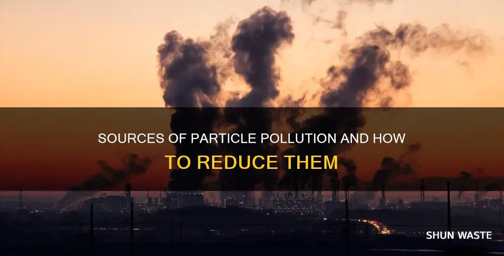 how does particle pollution get in the air