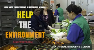 Meatless Monday: A Simple Step for a Greener Planet