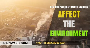 Particulate Matter's Devastating Impact on Ecosystems and Environmental Health