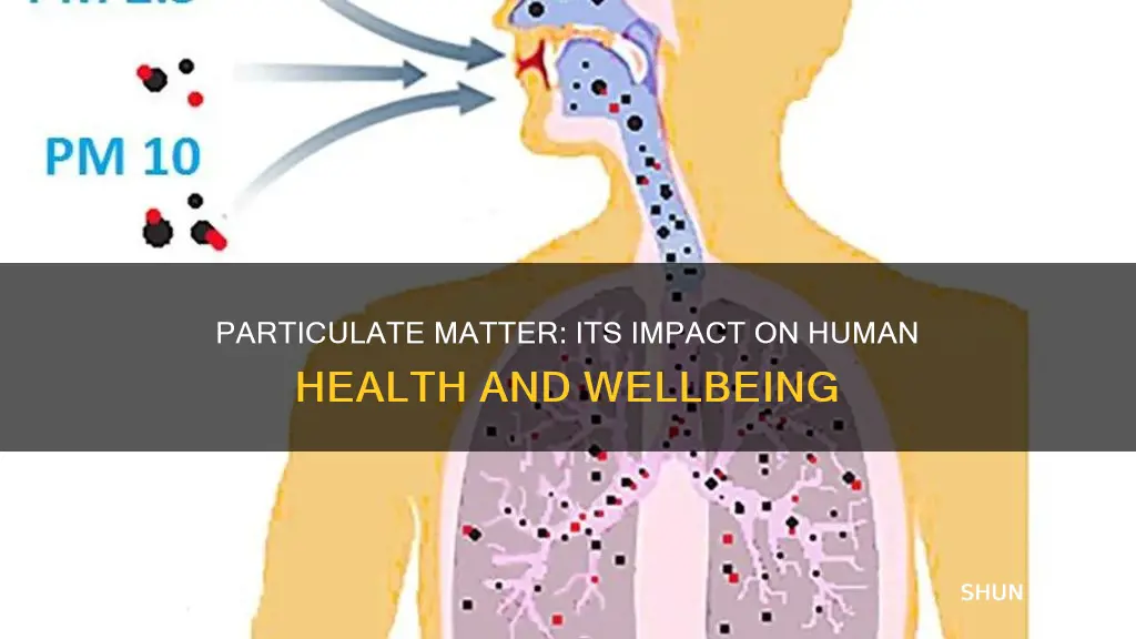 how does particulate matter affect human health