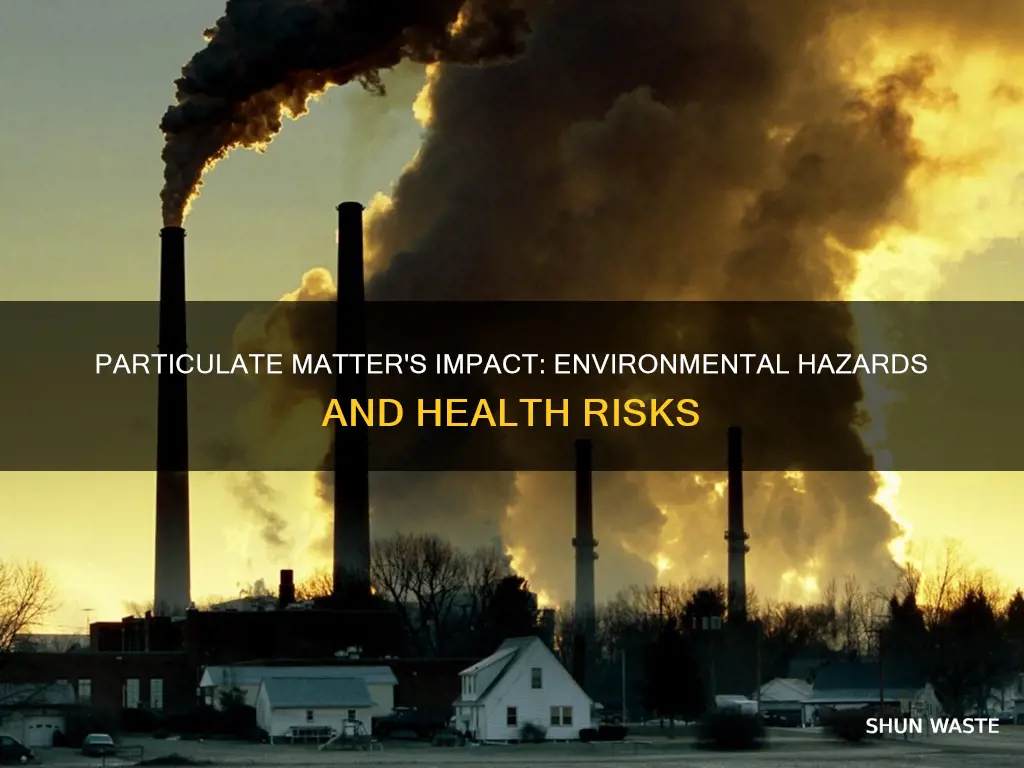 how does particulate matter affect the environment