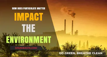 Particulate Matter's Environmental Impact: Air, Water, and Soil Consequences