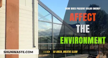 Passive Solar Energy: Environmental Impacts and Sustainable Benefits Explained